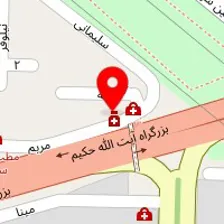 دکتر حمید خردمند