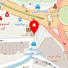 دکتر مریم شاهی