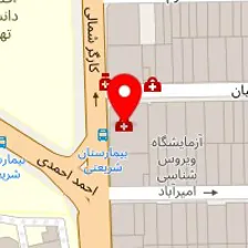 دکتر رزیتا داوری