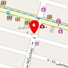 دکتر محمود ثقفی