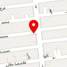 دکتر بهزاد امیری