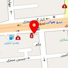 دکتر شایسته میرعلایی