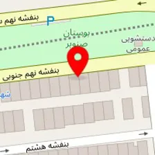 تصویربرداری پزشکی گلها
