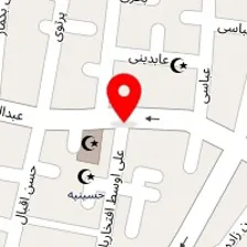 دکتر بابک علیجانی