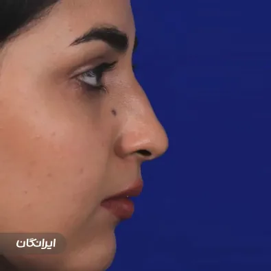 دکتر محمدعلی آقایی