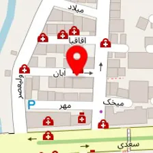 دکتر مهدی سبطی