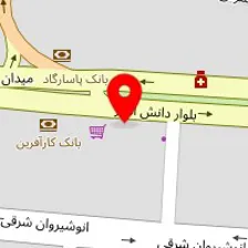 دکتر فاطمه دلیلی