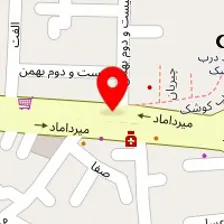 شرکت تشخیص طبی ملک