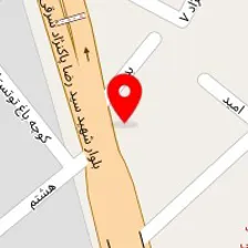 چرم حامی (طبی)