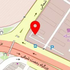 پرده سرای تنها