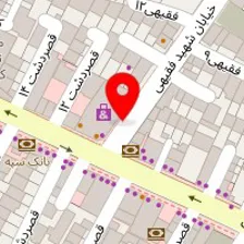 دکتر محمدمهدی توکلی