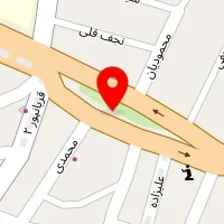 دکتر احد پاشایی