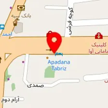 دکتر محمد دادیان