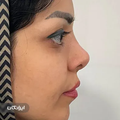 دکتر آنیتا بابادی