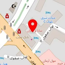 دکتر امیر حسابی