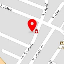 کارشناس مامایی فاطمه گوارشگی