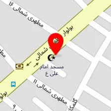 کارشناس مامایی صفا دلاوری