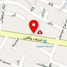 دکتر مهشید حفیظی