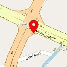 دکتر رضا سعیدی