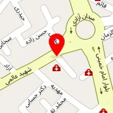 دکتر سعید ابوالحسنی