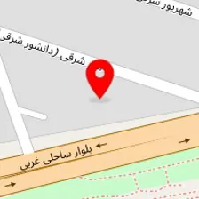 دکتر حمیدرضا آرتی