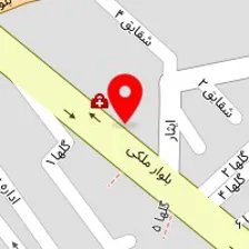 محمدرضا انصاری پور