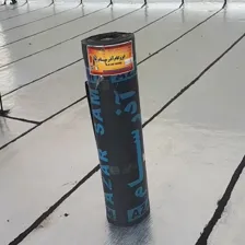 ایزوگام رستمی