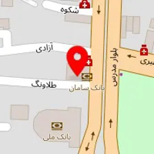 دکتر محمد روحی