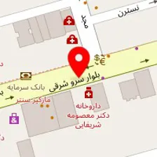 دکتر محسن خامسی پور