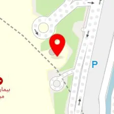 دکتر احمد موسوی