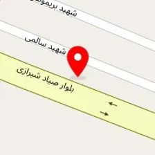 خدمات برق خودرو پارس