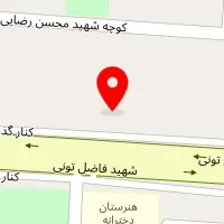 مکانیکی برق خودرو تنظیم موتوری باتری سازی استاد مجید