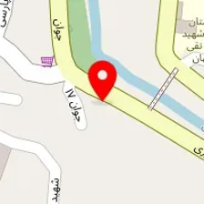 خدمات برق خودرو نوین