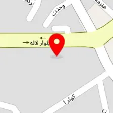 دیاگ رایان خودرو