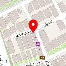 تعمیرگاه خودروهای دوگانه سوز