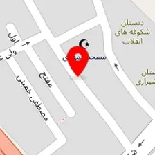 باطریسازی رضا