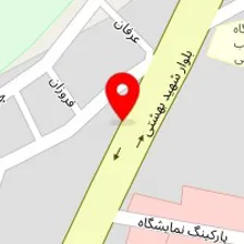 تنظیم موتور پژمان