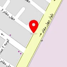 تنظیم موتور و برق خودرو الکترورویال