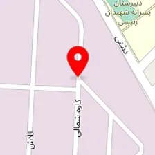 تنظیم موتوروcng خلیلیان