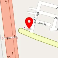 باطریسازی نقی