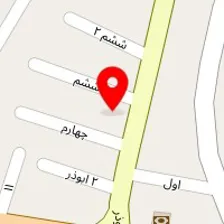 باطریسازی علی پاشایی