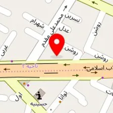 نمایندگی سایپا، پور حسنی