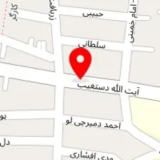 رنگ اتومبیل سهیل