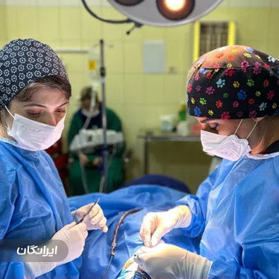 دکتر آتوسا ضیغمی