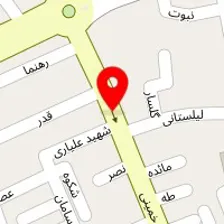 گالری پرده الینا