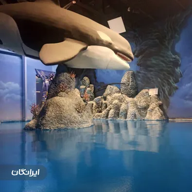 پیمانکاری ژیوان پوشش صنعت