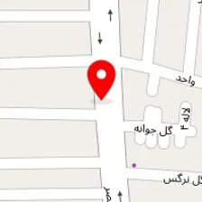 صوتی تصویری منصور