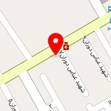 کافی نت و عکاسی رز