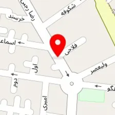 پت شاپ الو پت پت