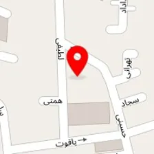 پت شاپ یونیک پت